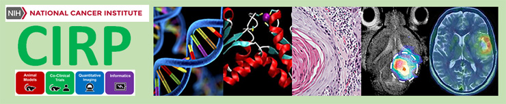 The Cancer Imaging Program Convenes the Co-Clinical Imaging Research Program (CIRP) Annual Virtual Meeting 2022